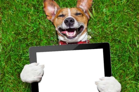 Le migliori App per cani