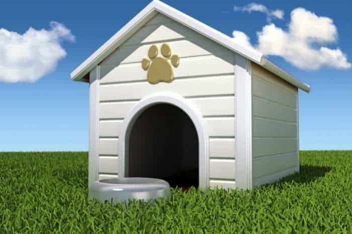 casa per animali foto