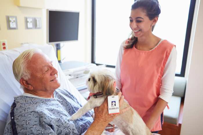 foto di pet therapy