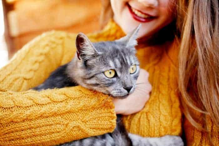 Foto di cat sitter insieme a un gatto