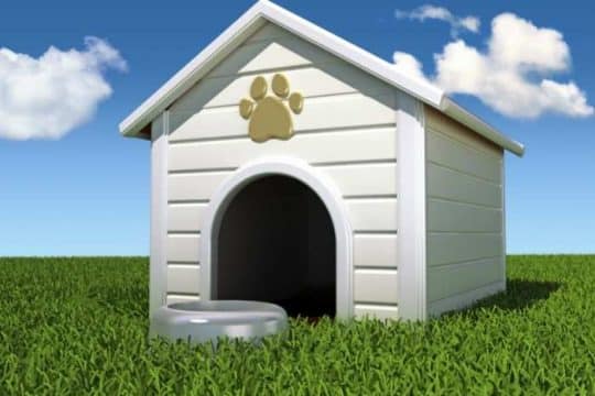 Come scegliere il giusto alloggio per il tuo animale domestico